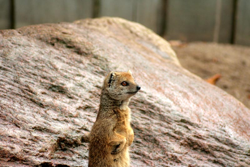 Killikus&reg; Fotographie